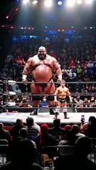 هل هذا المصارع حقيقي ؟