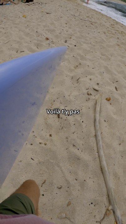 “A shark in the water” même en Hawaiien javais compris