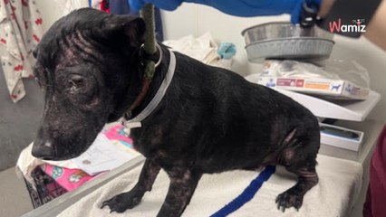 Les autorités se rendent dans une maison de l’horreur : en haut d’une montagne de déchets, il découvre une ombre