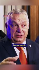 Orban on Ukraine Christmas truce: "Just don't kill each other for some days”