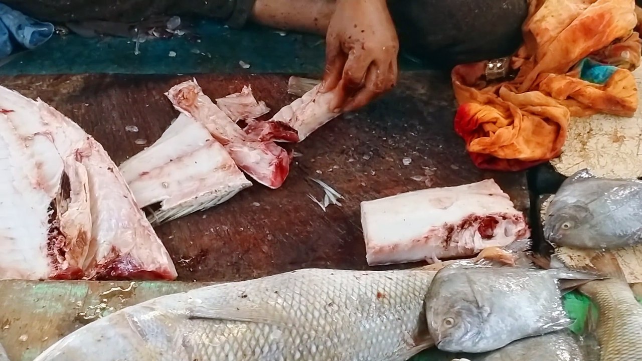 Lethrinidae Fish Cutting at Indian Fish Market  SMN Fish Cutting