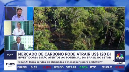 Brasil avança com nova lei do mercado de carbono; head da Decarbon da Ambipar analisa