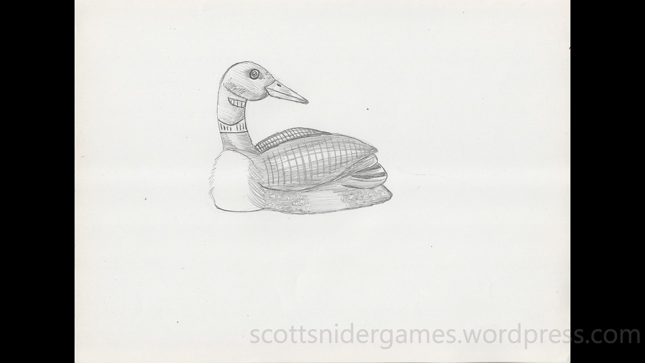 Loon Pencil Sketch Video #2 (12-19-2024)