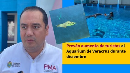 Prevén aumento de turistas al Aquarium de Veracruz durante diciembre
