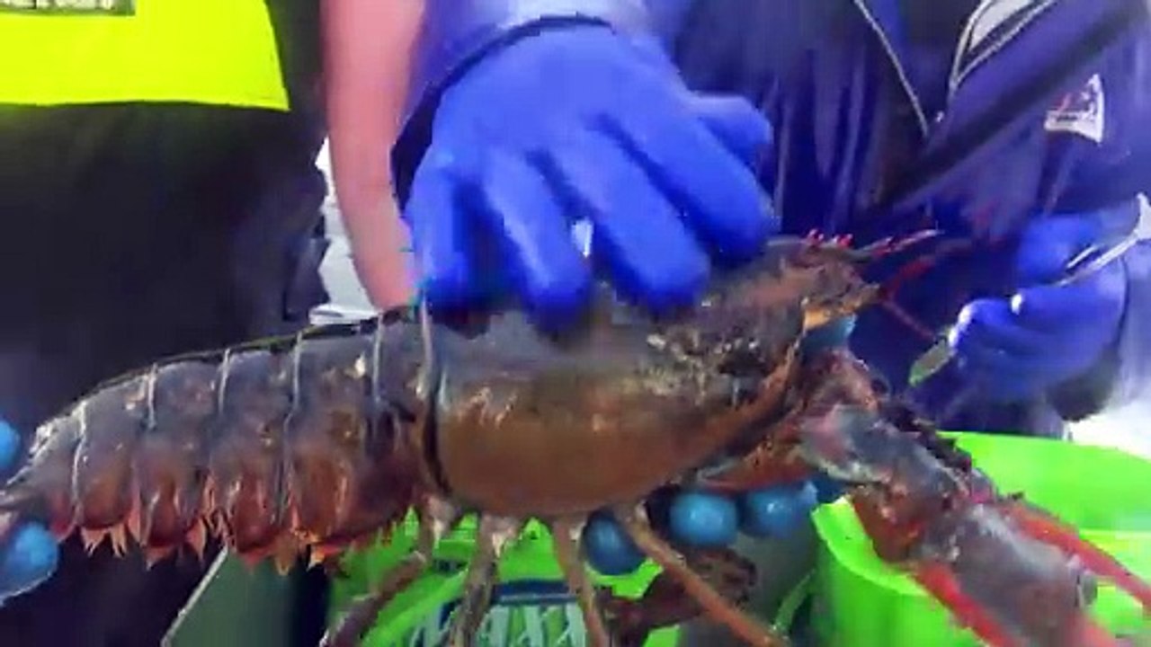 19 DÉC TOPO AD Homards et ch climatiques
