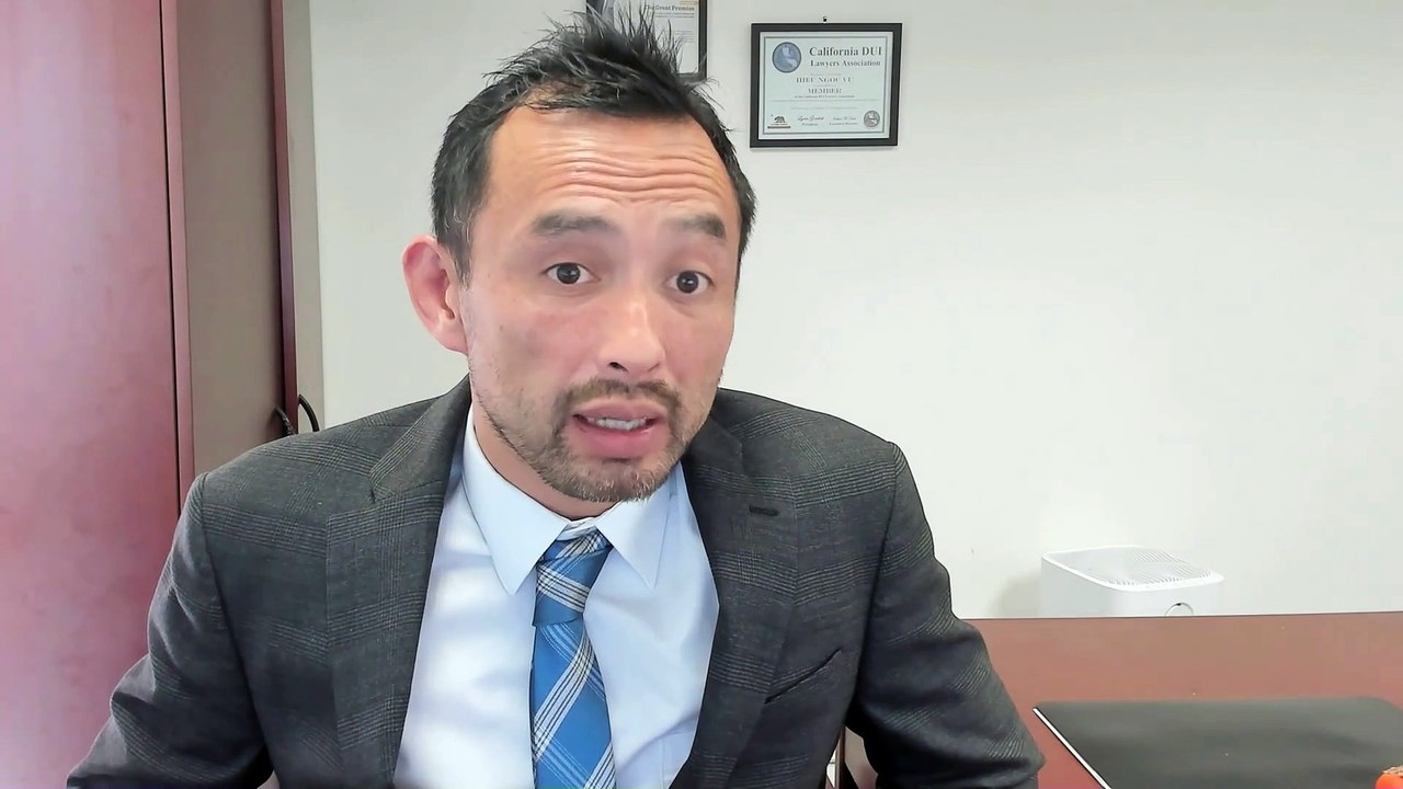 Harbor Justice Center: A Detailed Overview of Criminal Case Handling and Court Services