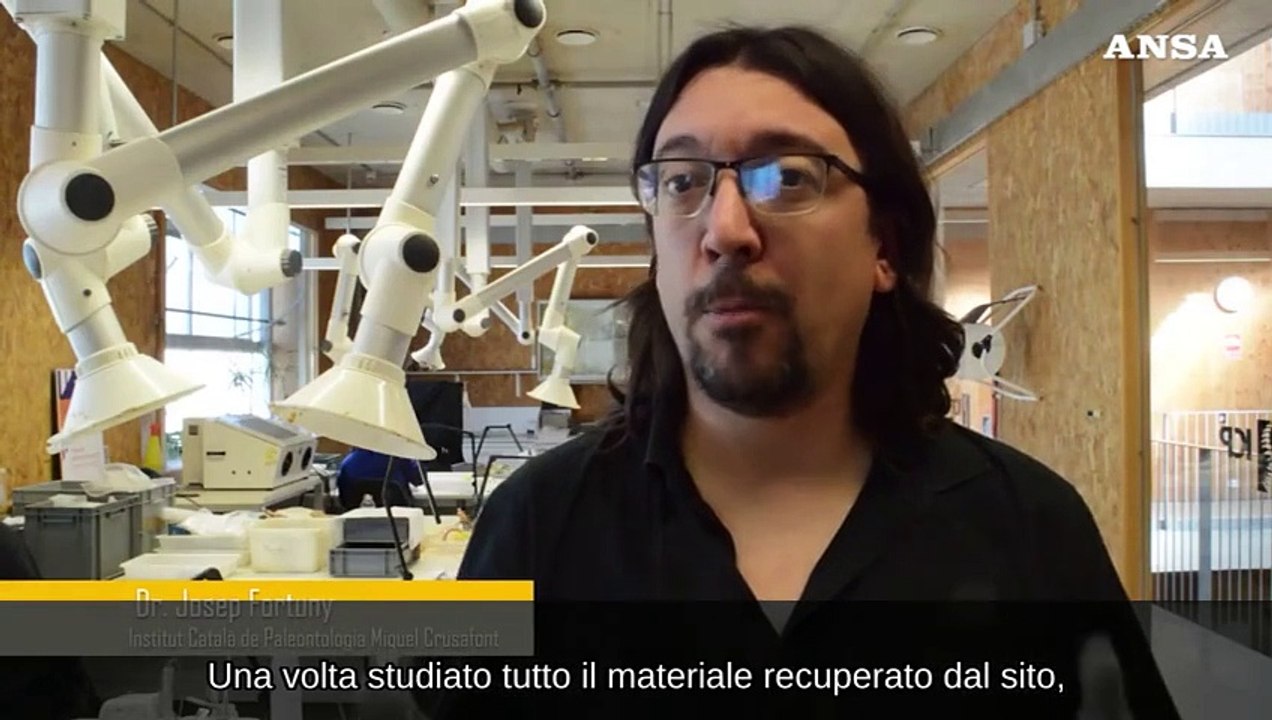 Maiorca, trovato fossile del piu' antico antenato dei?mammiferi