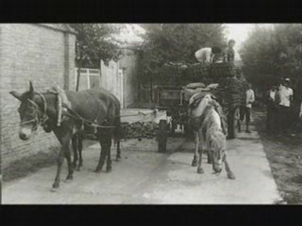 Beijing 1989 some people