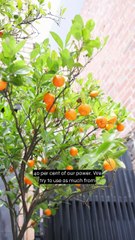 Melbourne's Best Eco-Friendly Cafes With South Of Johnston