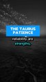 Patience in Taurus #zodiac #zodiacsigns #taurustarot #astro #astrology