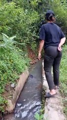 otter lagi main sembari mencari ikan