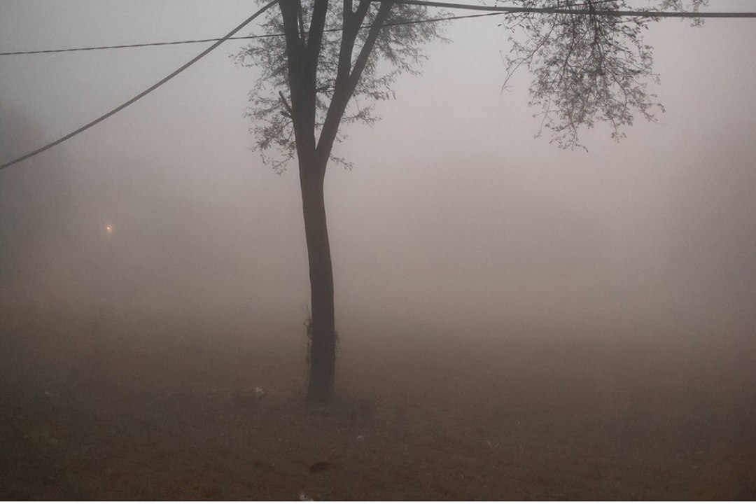 Rajasthan Weather : राजधानी जयपुर में मौसम का मिजाज नरम, बादल छाने से सर्दी के तेवर ढीले