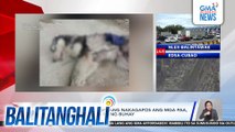 Alagang aso, natagpuang nakagapos ang mga paa, may saksak at wala nang buhay | Balitanghali