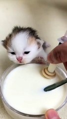 mine mine mine mine