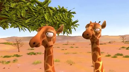 Long backend small story laughing zarafa