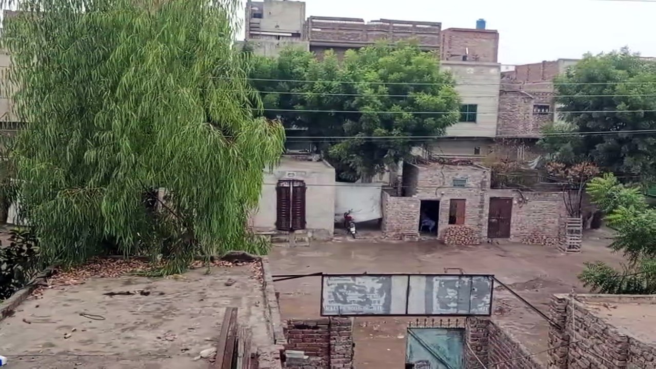 Rain