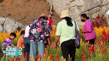 เที่ยวบ้านมุง ชมทุ่งดอกไม้-ฝูงค้างคาว | เป็นข่าวเล่าเรื่อง | 20 ธ.ค.67 | PART 2