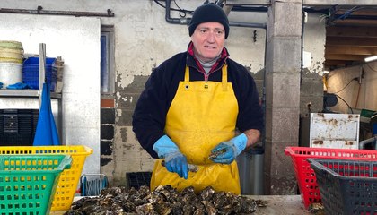 Interview de Philippe Vaudo, producteur d'huîtres à Loupian