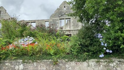 The sorry saga of the former Carclaze school building in St Austell left in ruins