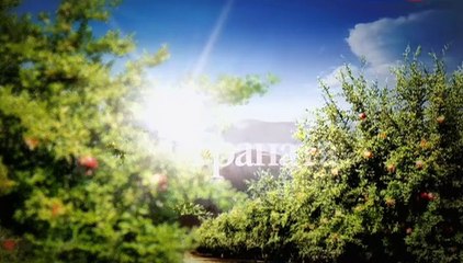 Vkus granata 16 seriya.