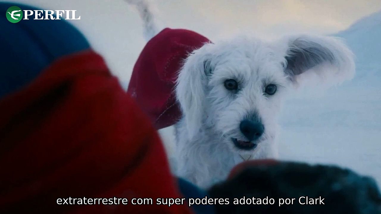 "Segredos de Krypto, Mufasa e Divertida Mente: Descubra os Mistérios Por Trás dos Personagens"