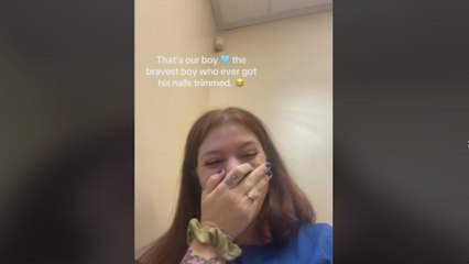 Llevan a su perro a que le corten las uñas y sus chillidos traumáticos enternecen a millones: "Nuestro chico valiente"