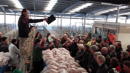 Turkey auction at Shrewsbury Auction Centre