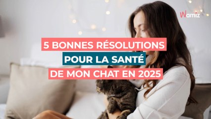 5 bonnes résolutions pour la santé de mon chat en 2025