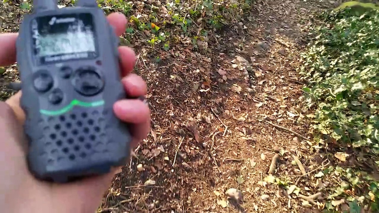 mountain forest PMR446