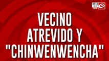 De no creer: quedó filmado mientras le robaba arena a su propio vecino