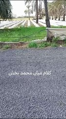 Sufi Kalam Mian muhammad bakhash