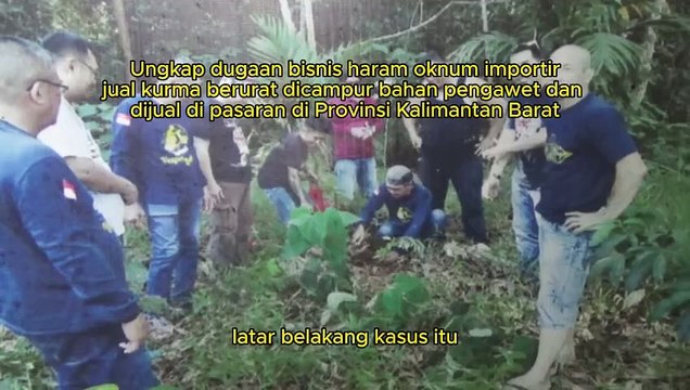Bruder Stephanus Paiman OFM Cap, Ketua FRKP, Desak Direktorat Reserse dan Kriminal Kepolisian Daerah Kalimantan Barat Tangkap Dugaan Oknum Importir, ML, Sok Dermawan, Jual Kurma Berulat, Dibersihkan, Kemudian Diberi Bahan Pengawet Sebelum Beredar di Pasar