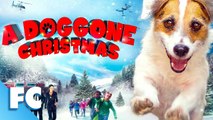 A Doggone Christmas - Full Movie - Family Dog Adventure - 'Just Jesse' the Jack Russell Terrier - FC