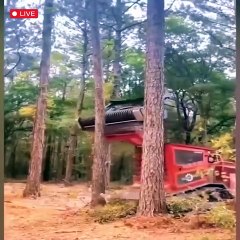 Amazing fast stump removal monster.
