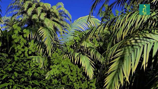 La biodiversidad marina podría verse afectada por la acidificación de los océanos