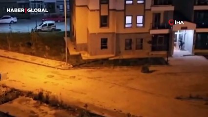 Ayı vatandaşı böyle kovaladı
