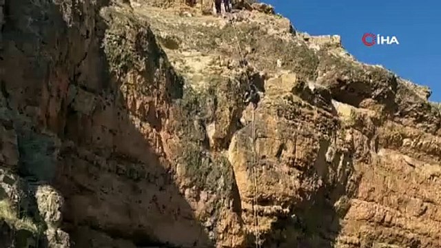 Ekipler seferber oldu! Keçi böyle kurtarıldı