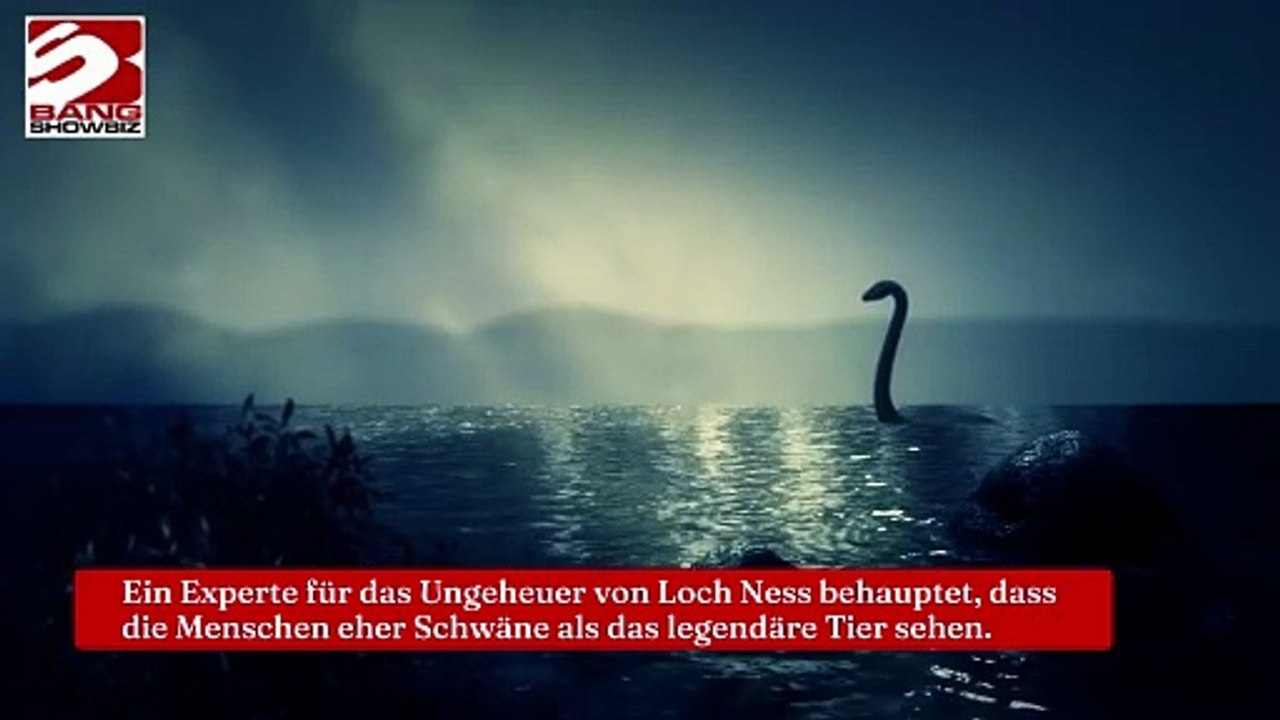 Schwäne werden mit dem Ungeheuer von Loch Ness verwechselt