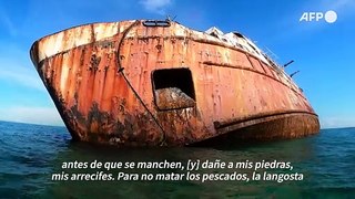 Una oportunidad para la vida marina en el cementerio de barcos de Panamá