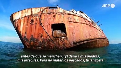 Una oportunidad para la vida marina en el cementerio de barcos de Panamá