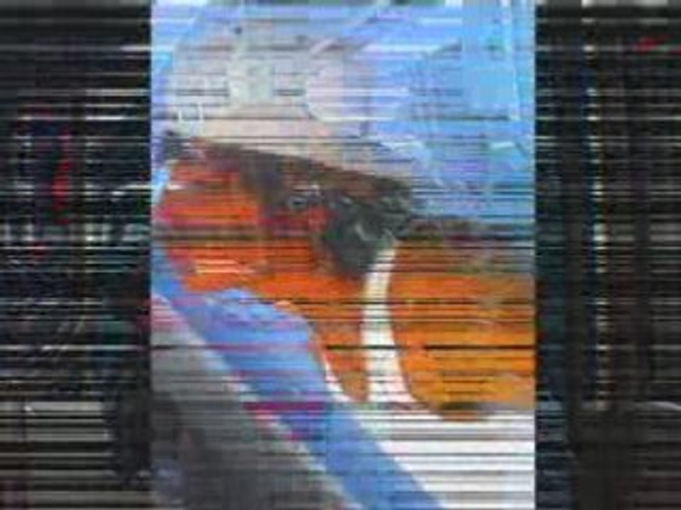 NAMOUR_0001