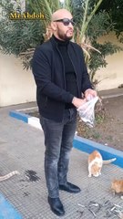 Feeding cats on the street
