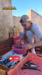 Feeding cats on the street with fresh fish in Morocco ... إطعام القطط في الشارع بالسمك الطازج في المغرب