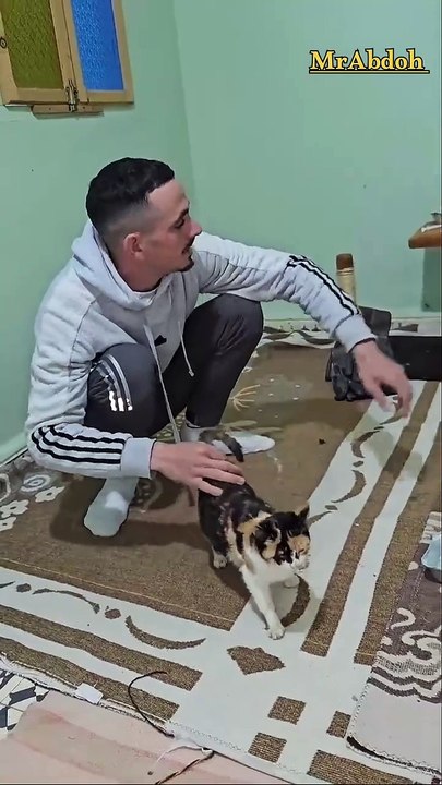 Caring for and taking care of sick cats that are housed on the street