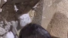 إنقاذ قطة في غزة من تحت الأنقاض....Cat rescued from under rubble in Gaza