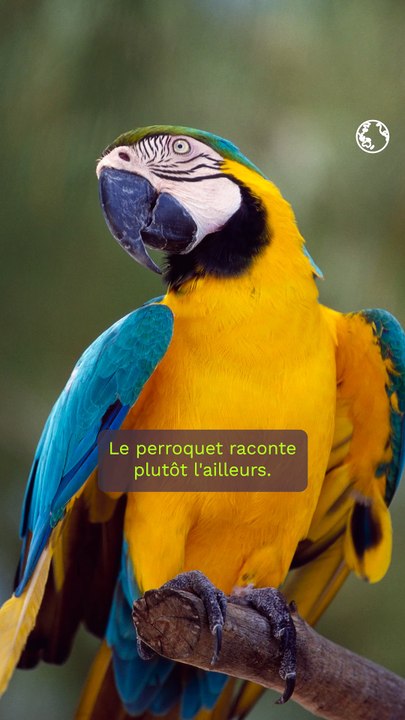 Bill François nous parle des surprenants mécanismes qui se cachent derrière la couleur des perroquets