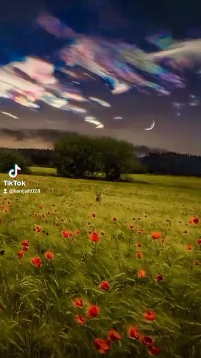 You will take a deep breath and feel this place with your heart and feel relaxed