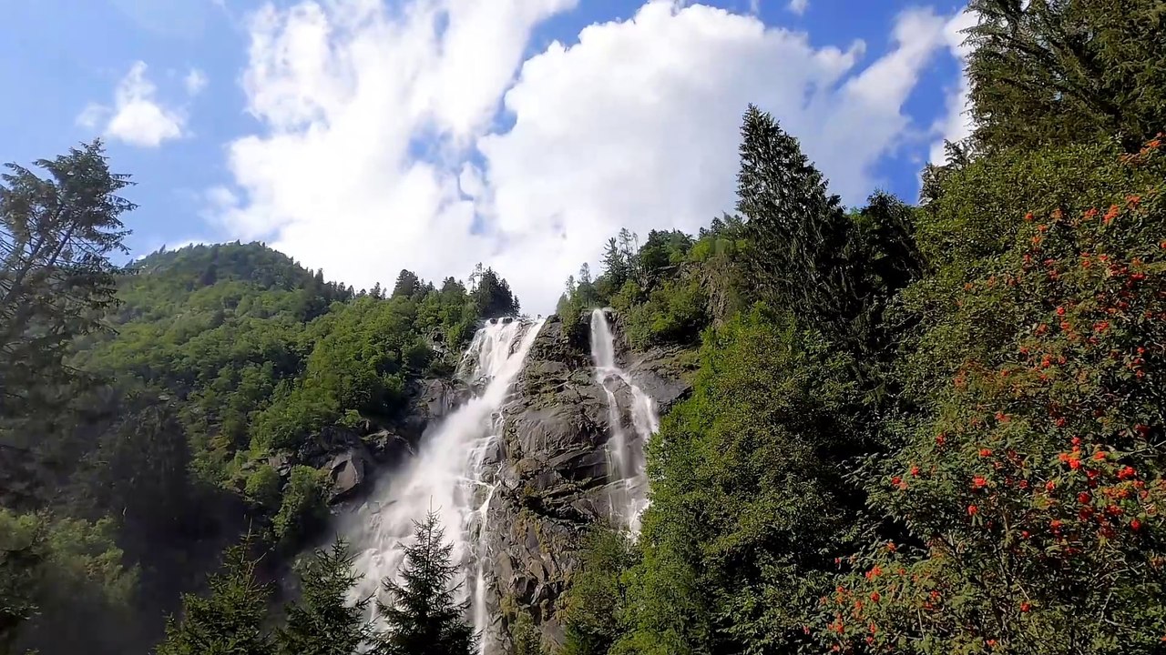 Âm nhạc thư giãn trị liệu với cảnh đẹp nhân gian - Động vật hoang dã nơi Cao Nguyên