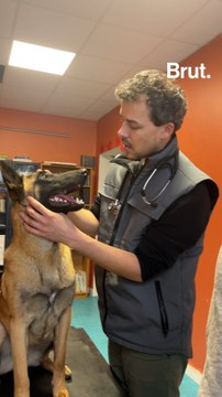 Il soigne les animaux des personnes en situation de précarité