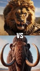 Mammoth vs Animals vs Dinosaurs (T.Rex, Lion, Tiger)
